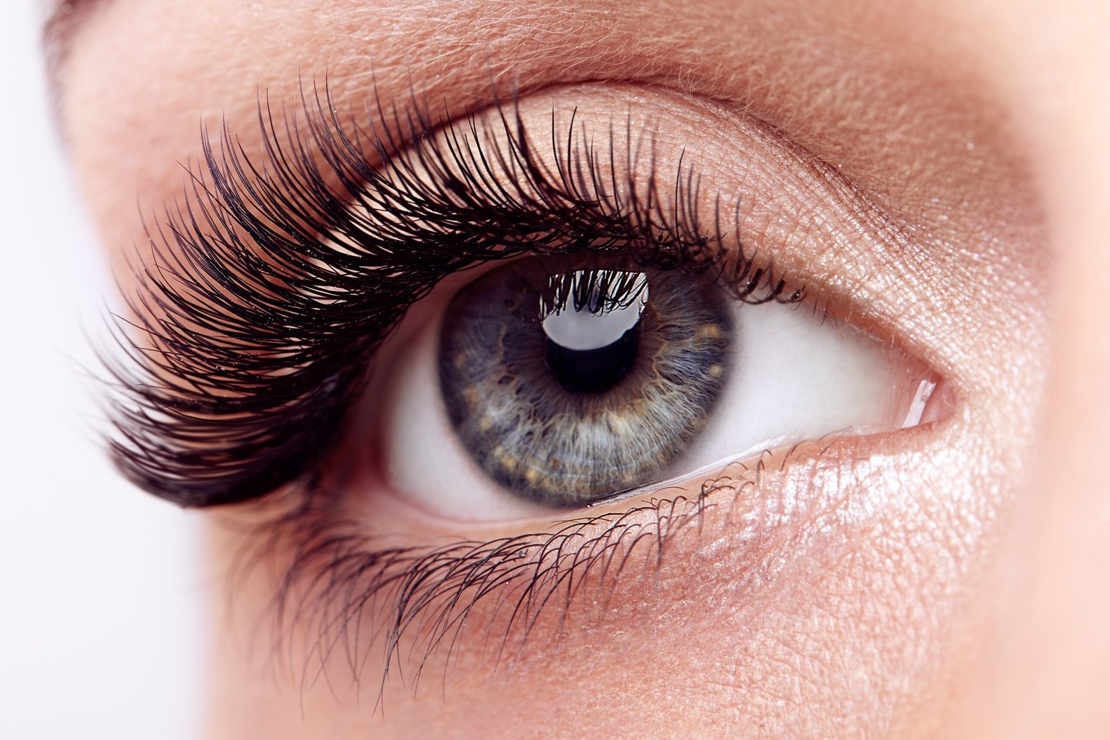 Volume Lashes